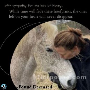 Nosey - Found Deceased